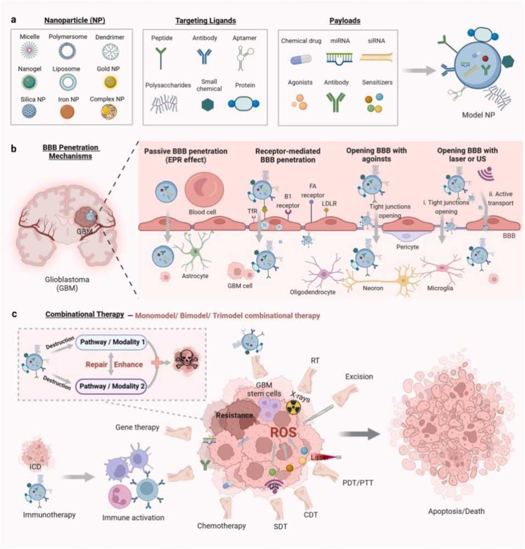 Nanomedicine review overview